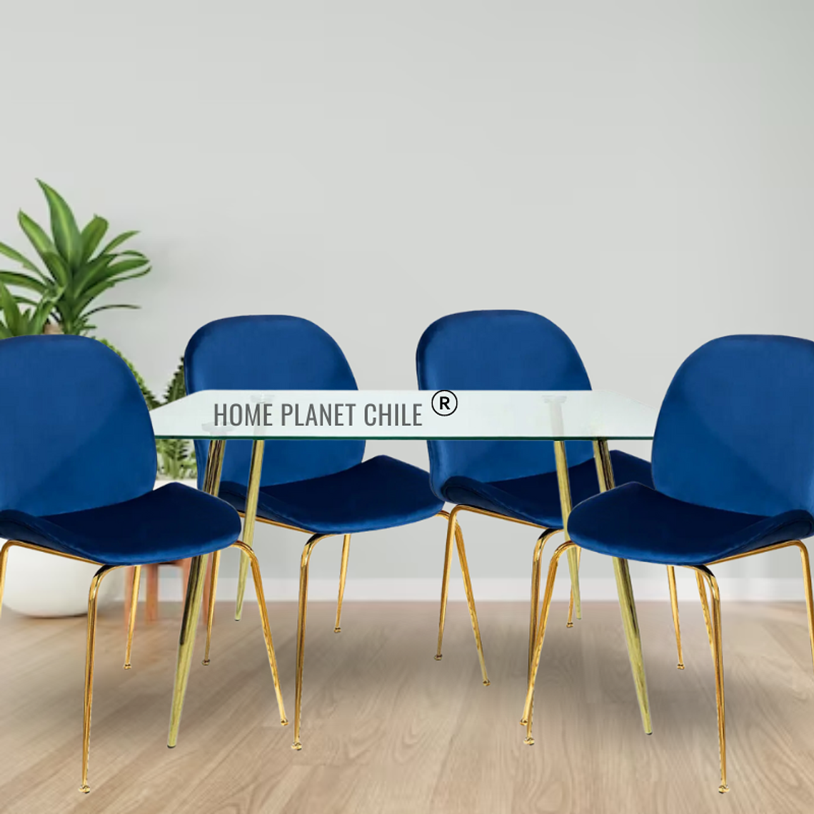 Comedor Sena Gold rectangular vidrio 160x90 cm con 4 Sillas Sena Velvet 5