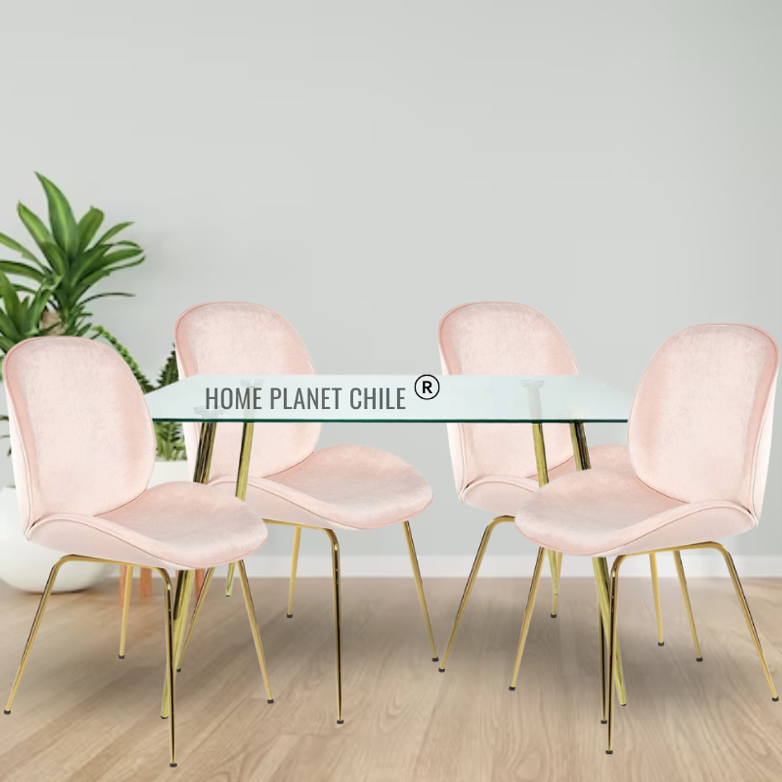 Comedor Sena Gold rectangular vidrio 130x80 cm con 4 Sillas Sena Velvet 3