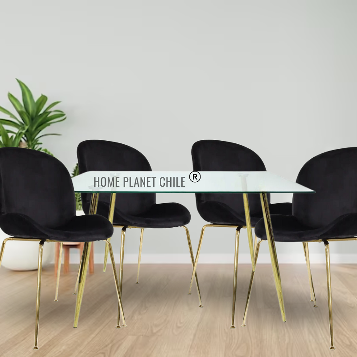 Comedor Sena Gold rectangular vidrio 160x90 cm con 4 Sillas Sena Velvet 7