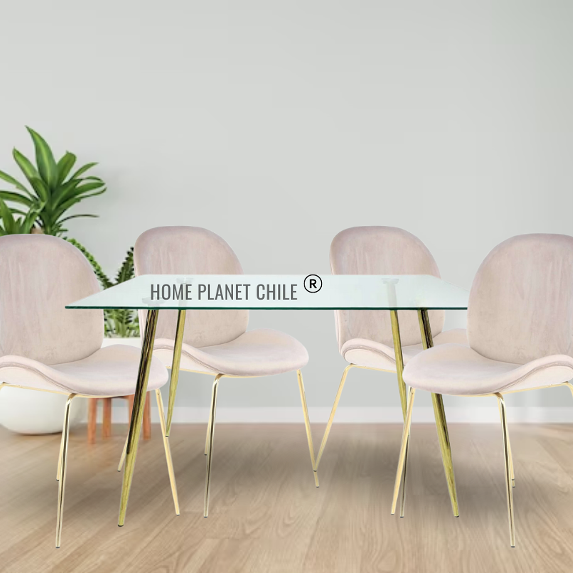 Comedor Sena Gold rectangular vidrio 130x80 cm con 4 Sillas Sena Velvet 9