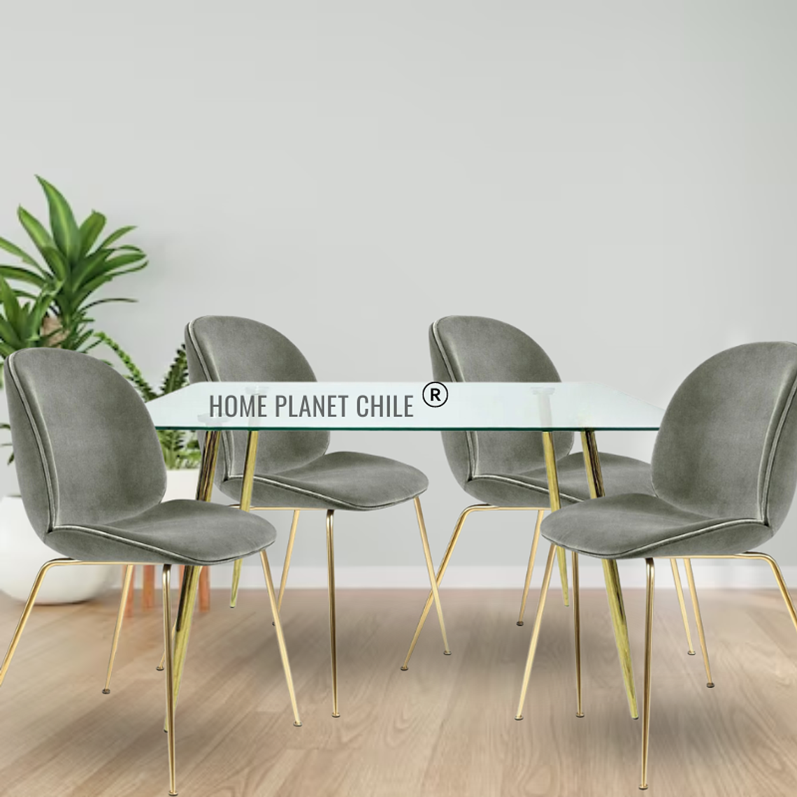 Comedor Sena Gold rectangular vidrio 130x80 cm con 4 Sillas Sena Velvet 11