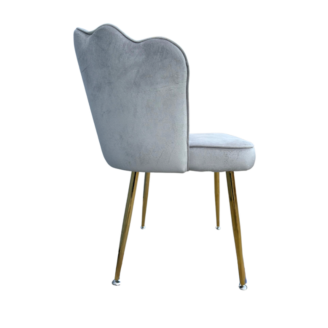 Pack 2 Sitial Ostra Gold 8