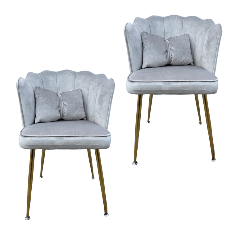 Pack 2 Sitial Ostra Gold 5