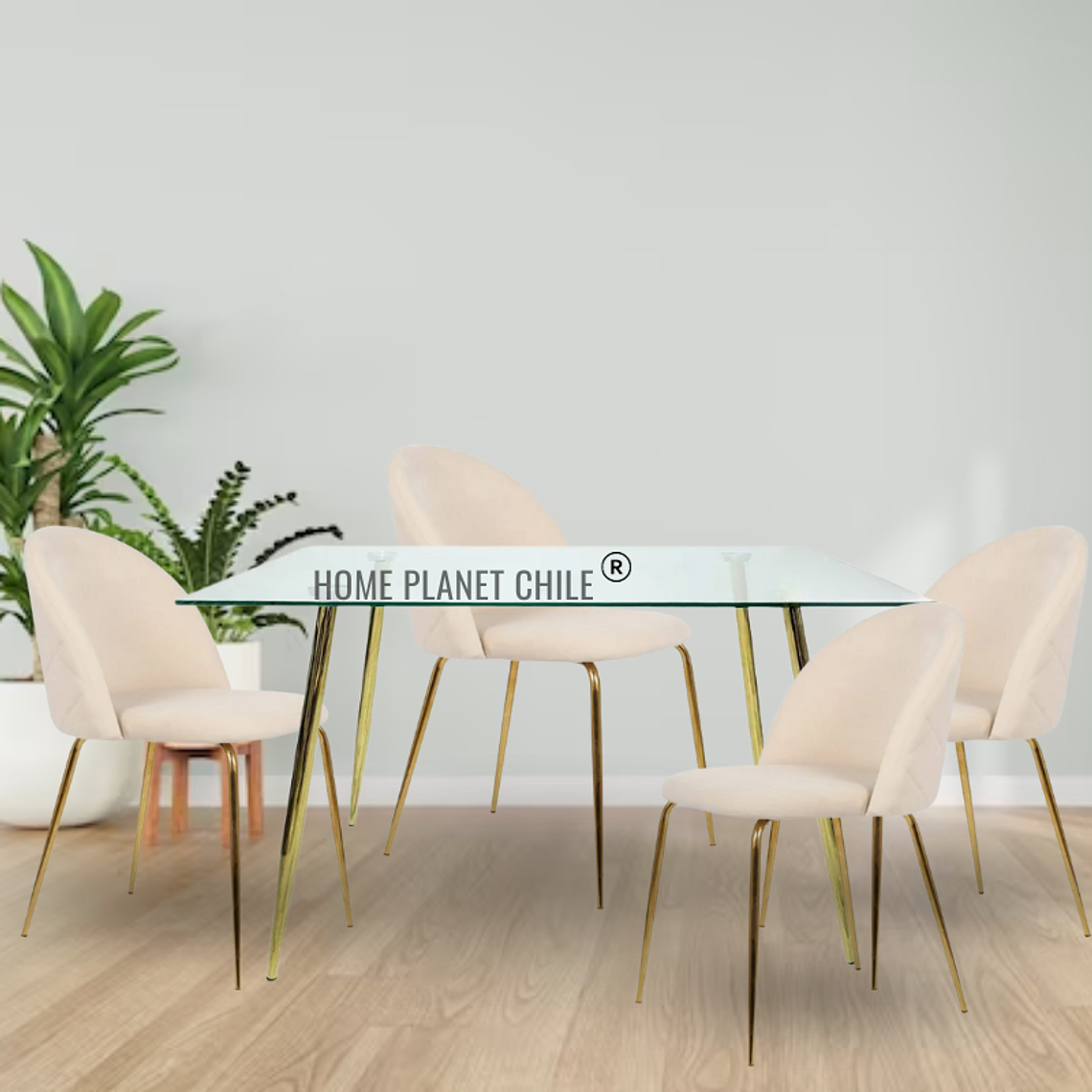Comedor Breda Gold rectangular 160x90 cm con 4 Sillas breda gold velvet 3