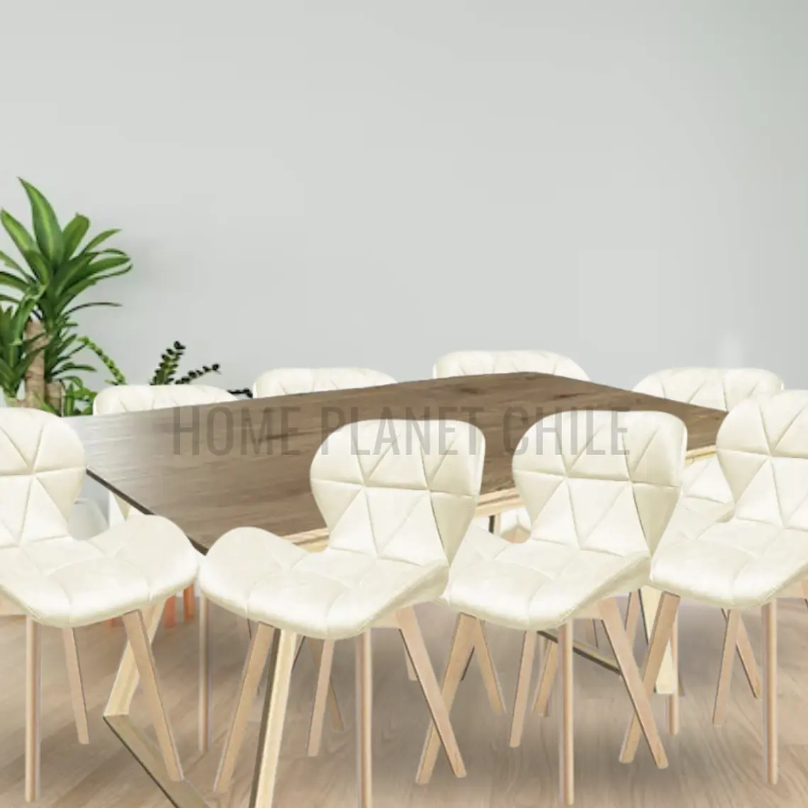 Comedor Thun Expandible rectangular con 8 Sillas Radar Velvet 1