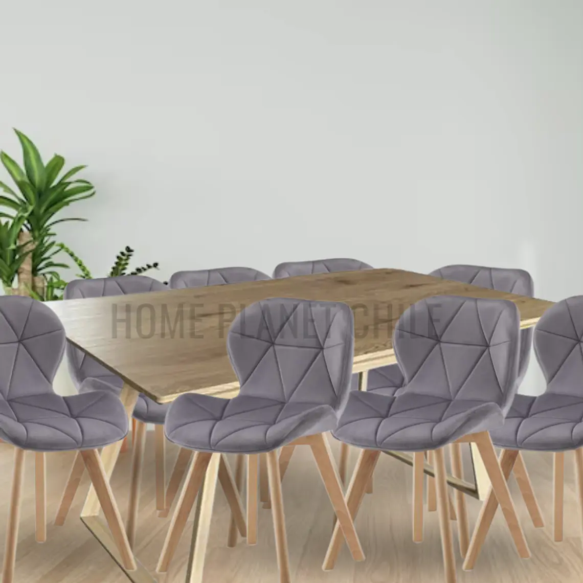 Comedor Thun Expandible rectangular con 8 Sillas Radar Velvet 3