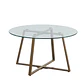 Mesa de Centro para Living de Vidrio y Metal 80cm - Miniatura 3