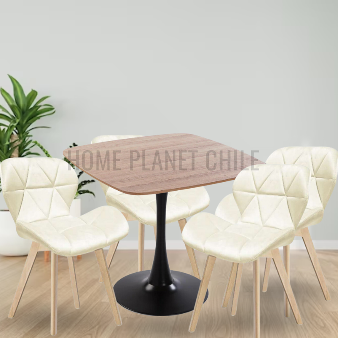 Comedor Toledo madera cuadrado 70x70 cm con 4 Sillas Mariposas Rubik Wood Velvet 2