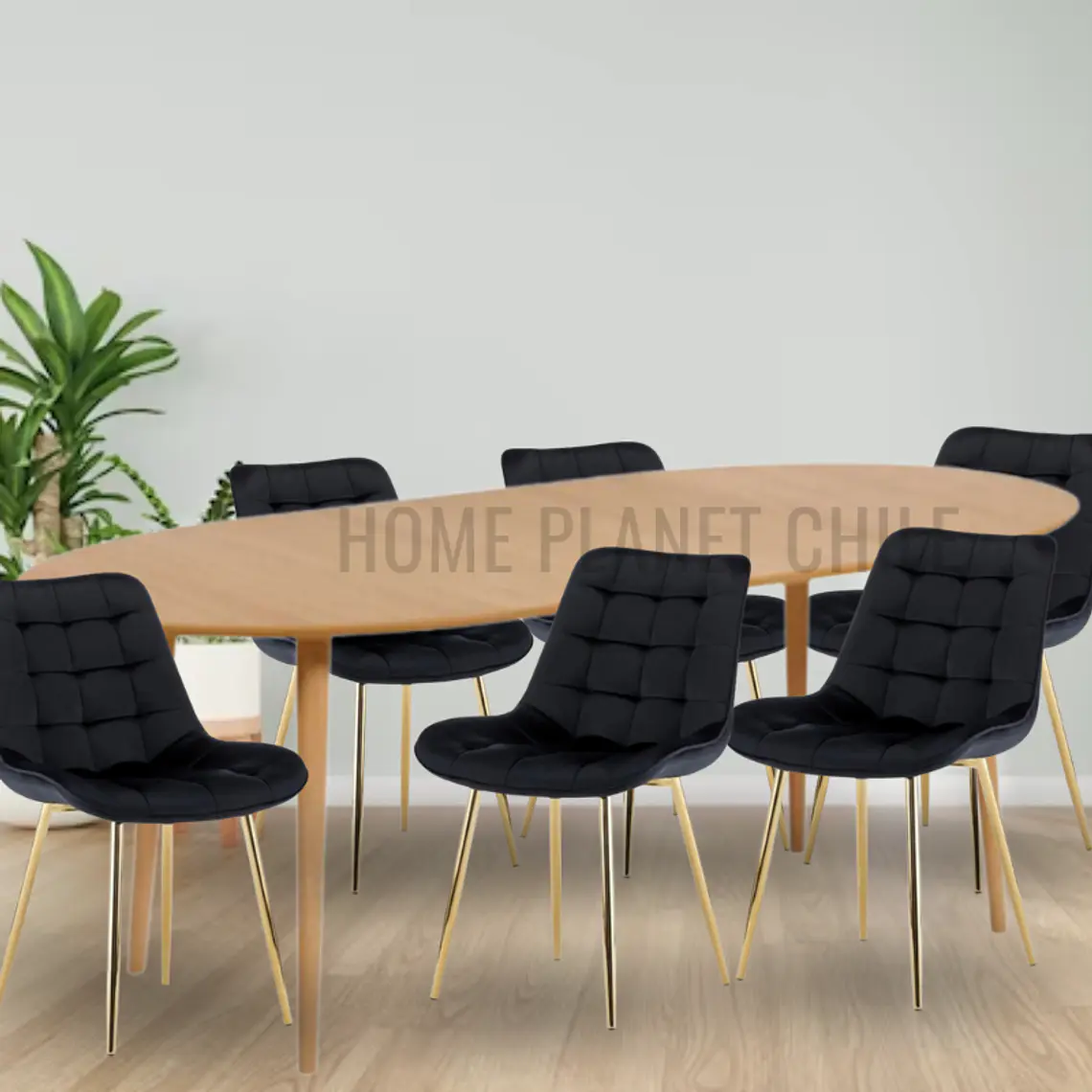 Comedor Expandible de 100 cm a 180 cm con 6 Sillas Capitone Gold 1