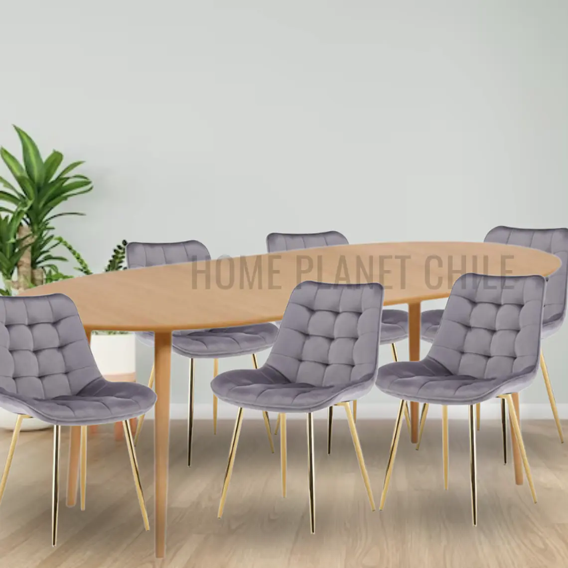 Comedor Expandible de 100 cm a 180 cm con 6 Sillas Capitone Gold 3