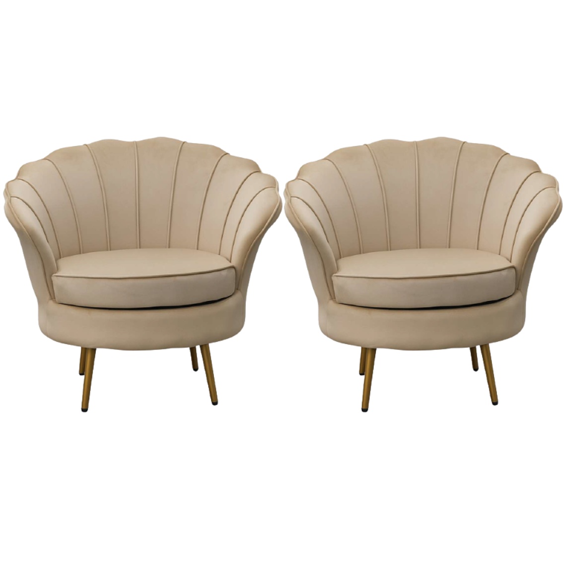 Pack 2 Poltronas  Ostra Gold  1