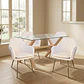 Comedor Medlock Munich rectangular vidrio 140x90 cm con 4 Sillas Diamond Gold - Miniatura 6