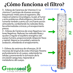 FILTRO DE REPUESTO PARA DUCHA PURIFICADORA