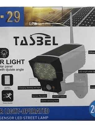 Pack X2 Focos Solar Tipo Cámara +sensor Movim Control Remoto