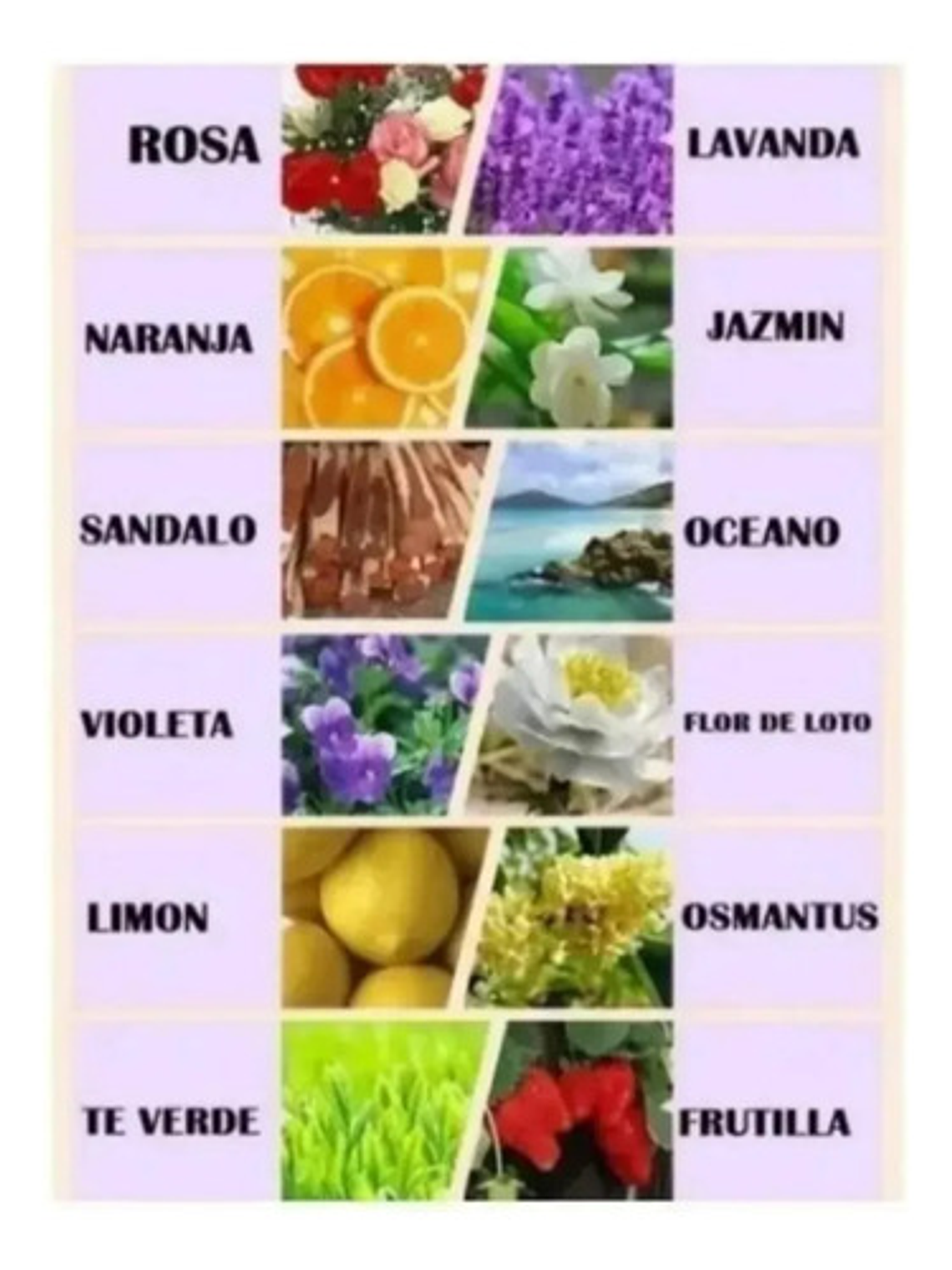 PACK DE ESENCIA X12  2