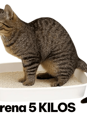 Arena Para Gatos Aglutinante 5 Kilos Sanitaria Para Gatos 5k