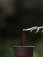 BOX UMO, Pronto - Miniatura 2