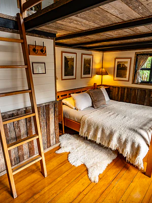 REÑIHUE CALETA GONZALO / CABAÑA CISNE