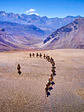 CRUCE DE LOS ANDES A CABALLO - Miniatura 1