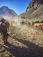 CRUCE DE LOS ANDES A CABALLO - Miniatura 3