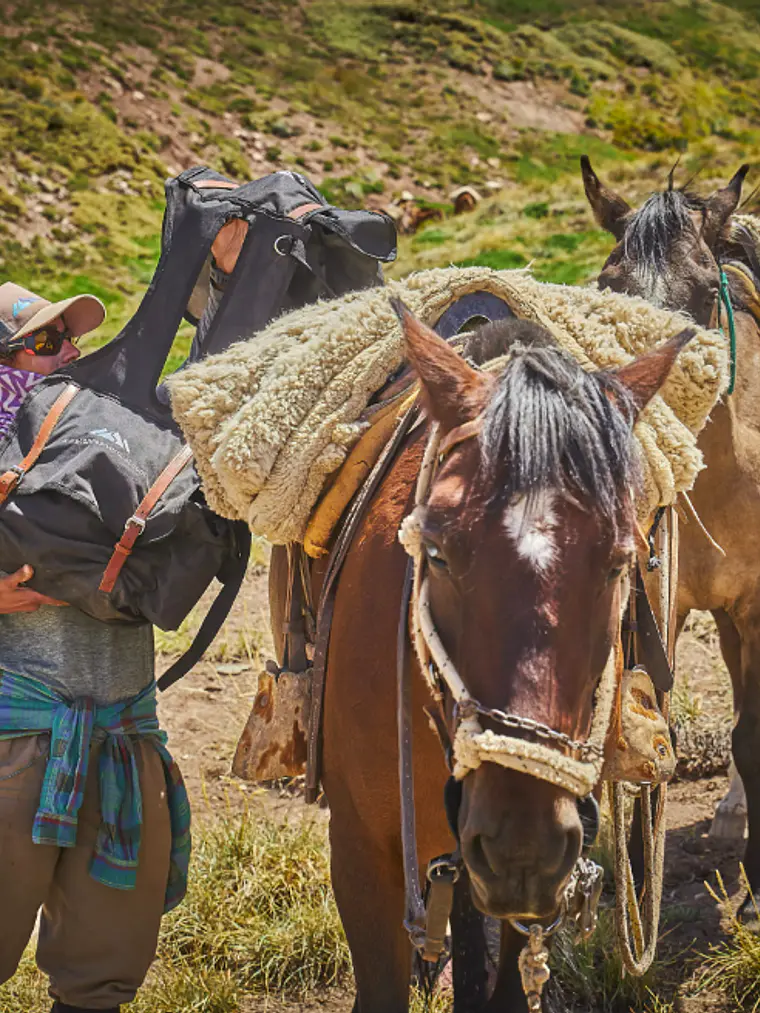 CRUCE DE LOS ANDES A CABALLO 4