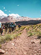 CRUCE DE LOS ANDES CAMINANDO - Miniatura 4