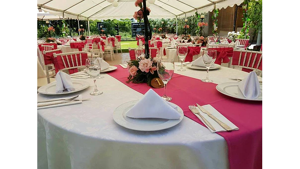 PREVENTA - CARPA 12X6 METROS PVC IMPERMEABLE HEAVY DUTY 3