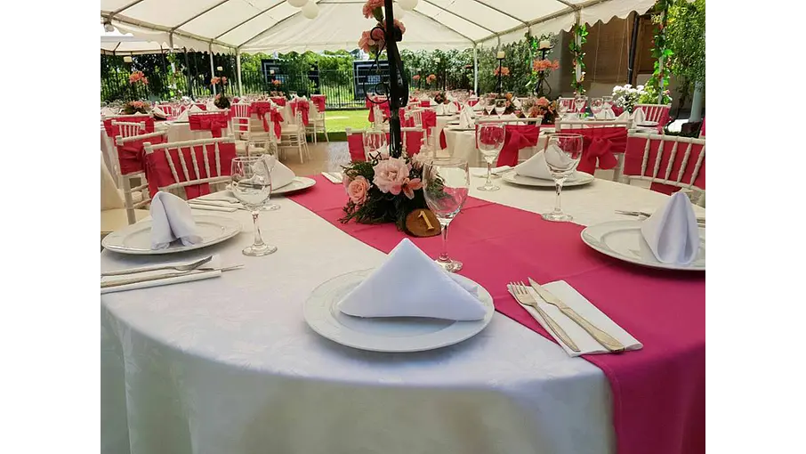 PREVENTA - CARPA 12X6 METROS PVC IMPERMEABLE HEAVY DUTY 3