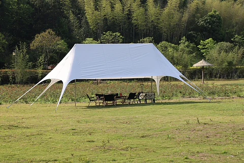 Carpa Toldo Estrella 10 x 6 metros