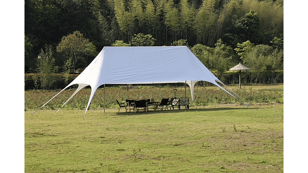Carpa Toldo Estrella 10 x 6 metros 1
