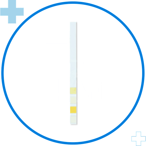 Autotest de Infección Urinaria Tira Reactiva – Orina 2