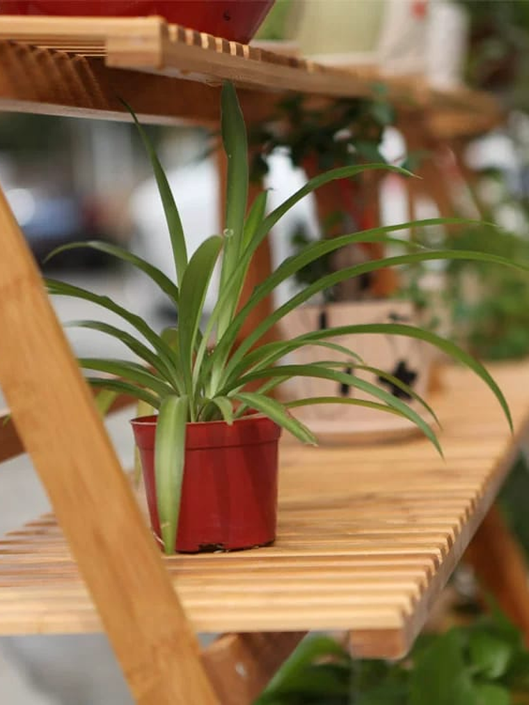 Estanteria En Bambú De 2 Niveles Premium Excelente Acabado 54x49x26.5cm 2