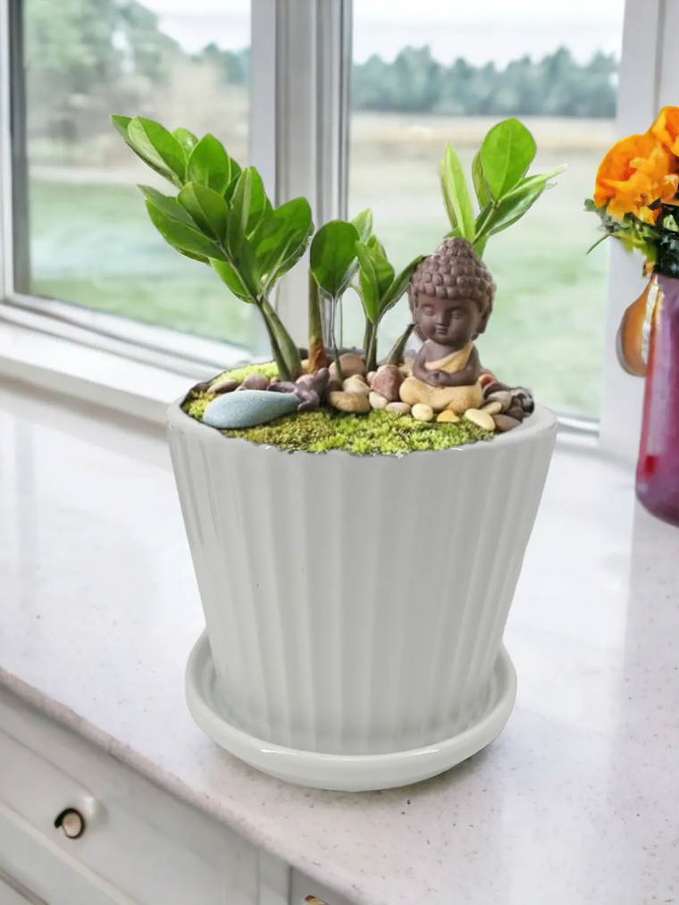 Macetero De Ceramica Con Plato, Por unidad 5