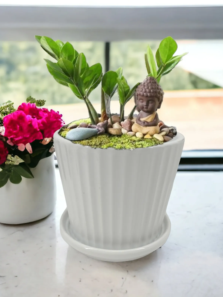 Macetero De Ceramica Con Plato, Por unidad 1