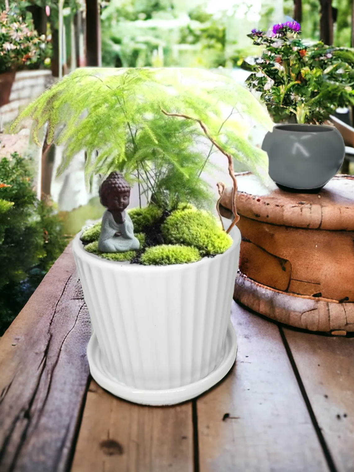 Macetero De Ceramica Con Plato, Por unidad 7