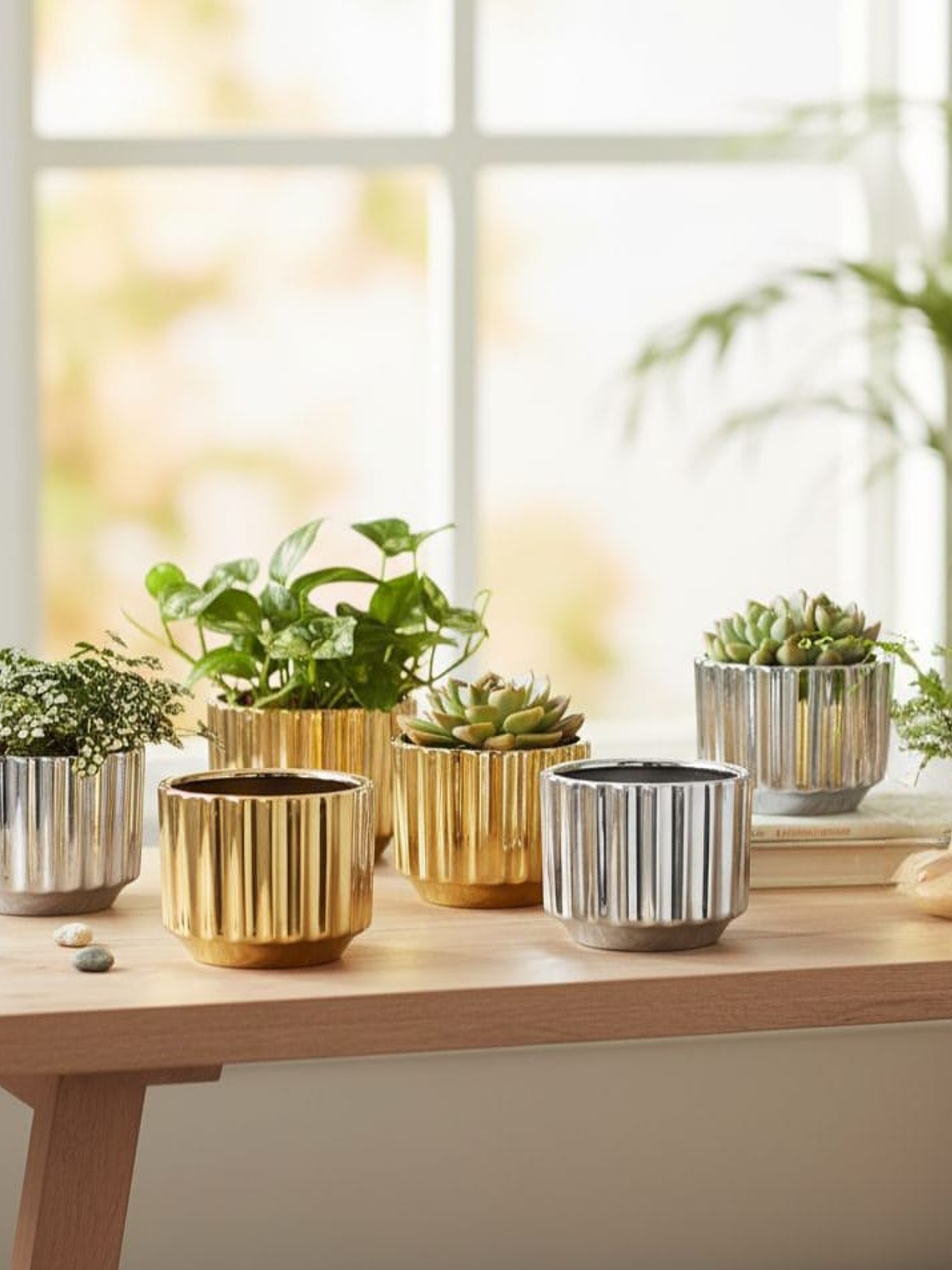 Macetero De Cerámica, Redondo, Pack De 6 Surtidos. 5