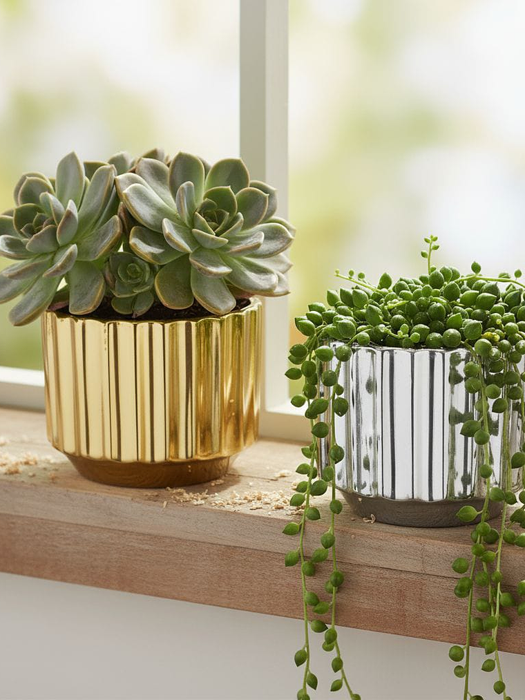 Macetero De Cerámica, Redondo, Pack De 6 Surtidos. 6