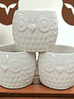 Maceteros Blancos De Ceramica, DISEÑO BUHO - Miniatura 3