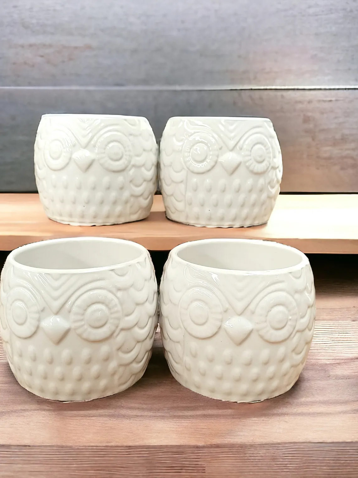 Maceteros Blancos De Ceramica, DISEÑO BUHO 4
