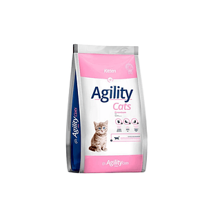 Agility Kitten