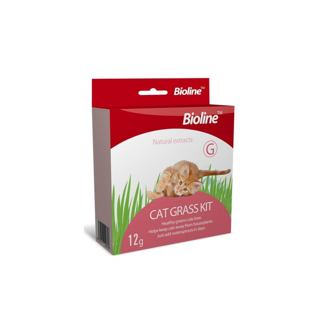 Cat Grass Kit de Pasto 12g  1