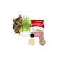 Cat Grass Kit de Pasto 12g  - Miniatura 2
