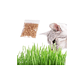 Cat Grass Kit de Pasto 12g  - Miniatura 3
