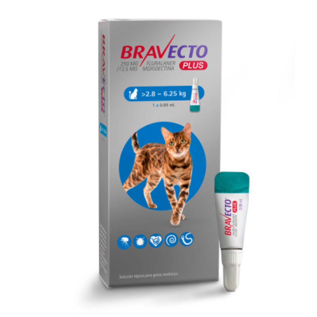 Bravecto Plus Gato 2.8 a 6.25 Kg 1