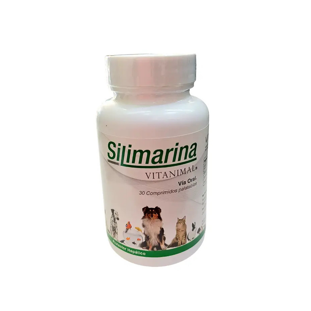 Silimarina de 30 Y 90 Comprimidos 120 MG 1