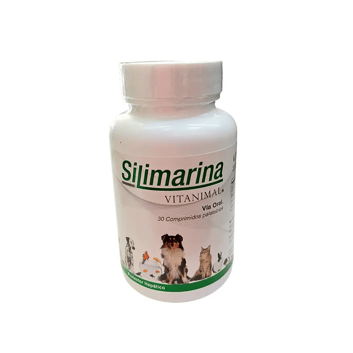 Silimarina de 30 Y 90 Comprimidos 120 MG 1