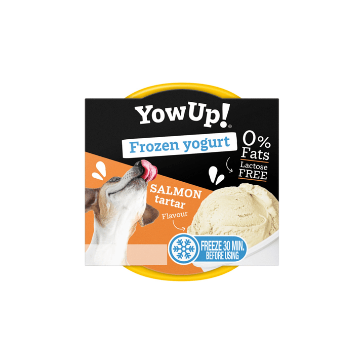 Helado Yow Up! Salmon Tartar 110gr 1