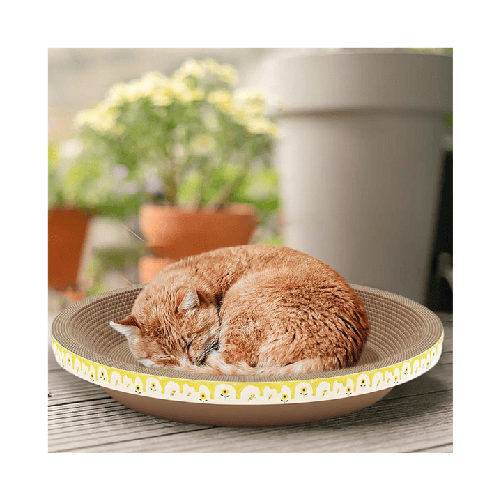 Cama Rascador Circular Para Gato 40 Cm. 3