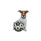 Pelota Mas Bombin Turbo Dog - Miniatura 3