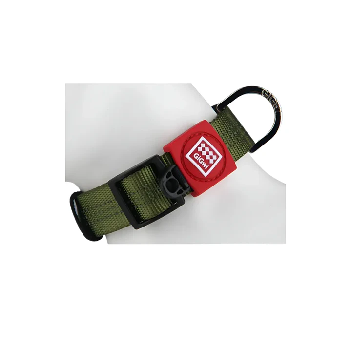 Gigwi Collar Talla ''XL'' Verde 2